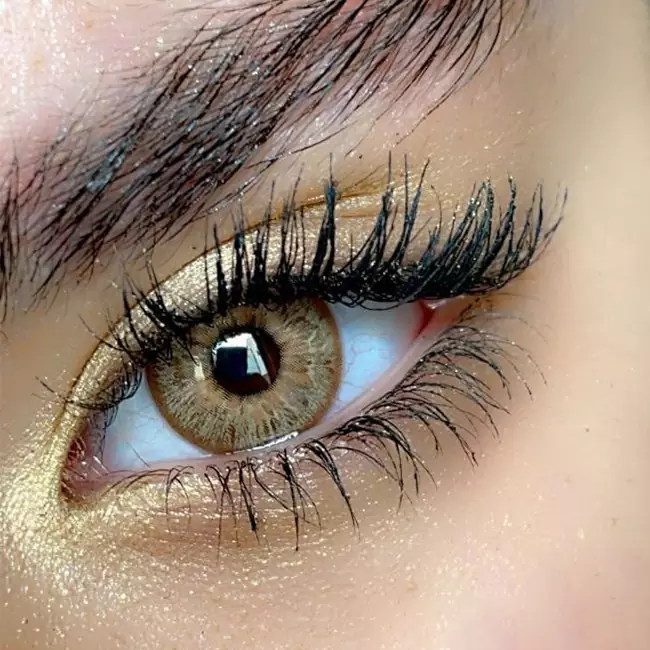 لنز سلنا لایت کافی