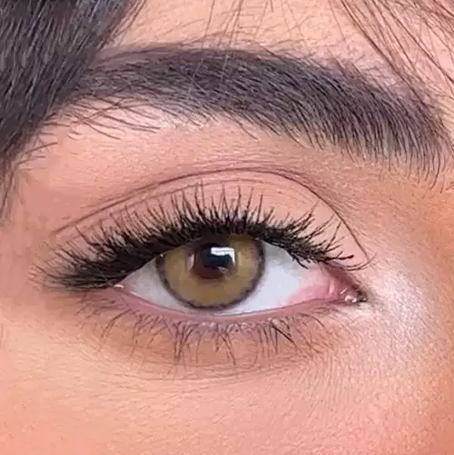 لنز سلنا کایمرا دوردار