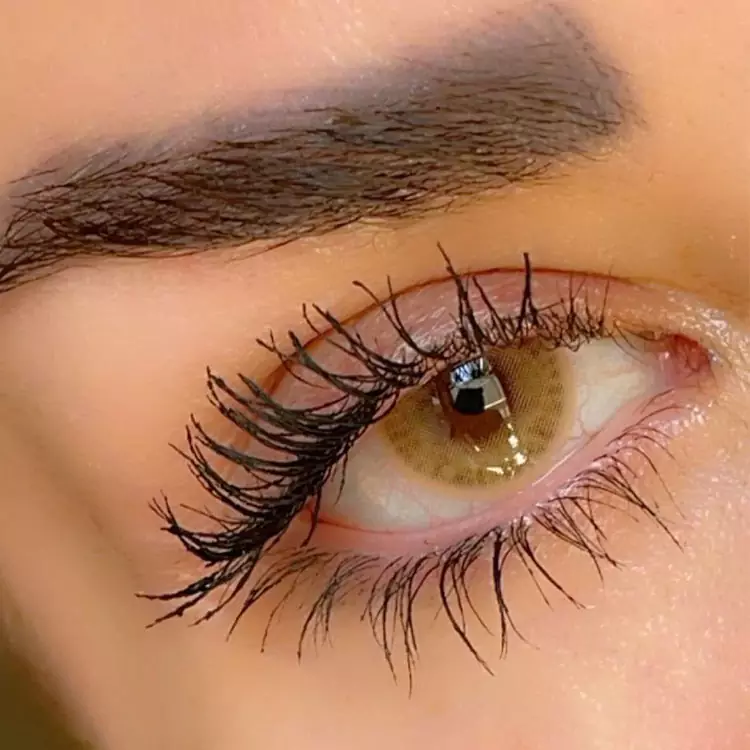 لنز سلنا کافی