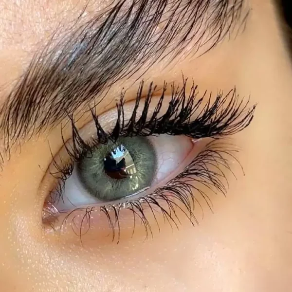 لنز سلنا دیم گری دوردار