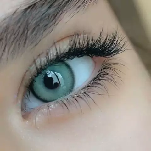 لنز سلنا ورسا