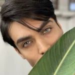 لنز سنیوریتا پرل گری طوسی سبز دور دار