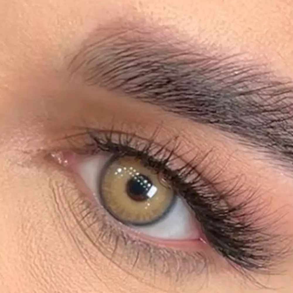 لنز-رنگی-اپرا-فصلی-رنگ- دیو سیئنا