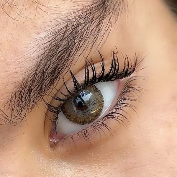 لنز سلنا هیزل فندقی عسلی مرکز طوسی